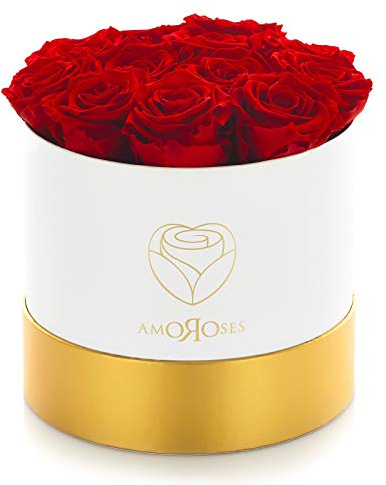 Amoroses 12 Rose Stabilizzate Vere durano Anni - Idea Regalo per Lei Originale Elegante Bouquet per Anniversario e Altre Occasioni Speciali (Scatola Bianca con Rose Rosse)