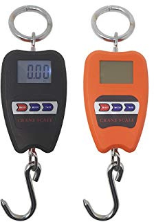 BES 23279 Balance numérique Professionnelle Industrielle, Crochet dynamomètre Ressort, 200 kg