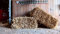 Wheat Straw Bale – 10 to 12 kg – Natural – 70 x 40 x 50