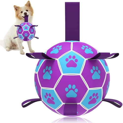 HETOO Hundboll hundleksak boll med rep hundfotboll (20 cm lila) | Interaktiv hundboll för turing, hållbar hög hopp, flytande boll för hundar, födelsedagspresenter, inomhus, utomhus