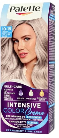 Palette Intensive Color Creme Long-lasting cream hair dye 10-19 Cool Silverl Blonde 110 ml. x 2 (Pack of 2)