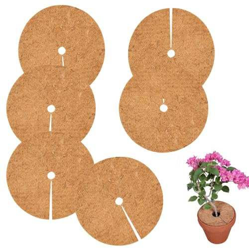 CaiYuanGJ 6 Stück 30cm Kokosfasermatte Winterschutz, Kokosmatte Winterschutz Pflanzen, Kokosmatten, Kokos-Mulchscheibe, Kokosscheibe für Pflanzen, für Pflanzen Kälteschutz Schutz vor Nässe und Frost