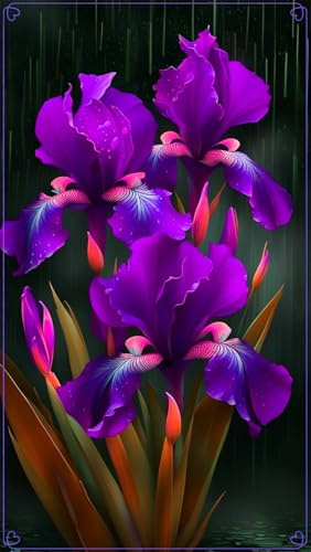 iris bulbi, Robusto, Delicato, Sottile, Bulbi di iris,Elegante, Naturale-4 bulbi-D