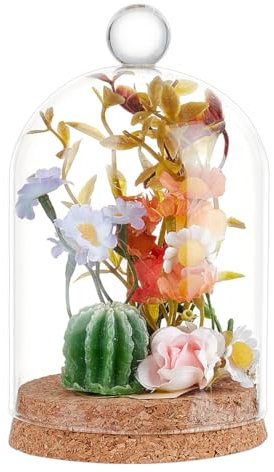 BENECREAT Cloche Dôme en Verre avec Poignée Supérieure Ronde Pots Décoratifs en Forme de Dôme de 14.4x9cm Couvercle en Verre avec Base en Liège pour Spécimens de Plantes Décoration DIY