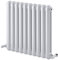 Edworth Horizontal Radiator | Curved Vertical Panel Double Column | Central Heating | Living Room Hallway Bathroom Kitchen Radiator | 600 x 622 | White