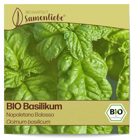 Samenliebe BIO Basilikum Samen Napoletano Bolosso grün 500 Samen samenfestes Kräuter Saatgut für Küche indoor und Balkon Garten BIO Kräutersamen