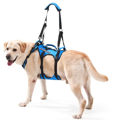 Lafoty imbracatura di sollevamento per cani medi, supporto completo con 3 maniglie e tracolla, aiuto mobilità per cani anziani con artrite, assistenza scale, blu, M