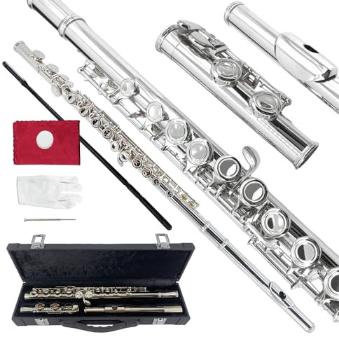 YoungMonic Closed Hole C Flutes 16 Keys Flute for Beginner Student Blue Nickel Flute Instrument with Cleaning Kit Carrying Case Gloves Tuning Rod