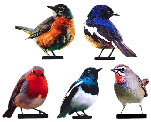 Generisch Decorazione per uccelli, 5 sculture a D in colori vivaci e vivaci come arte da giardino, per esterni, per giardino, per la decorazione di terrazze, cortili e pareti