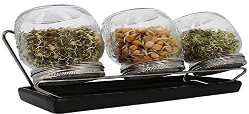 ESCHENFELDER Sprossengläser System III (anthrazit, 750 ml), Glas