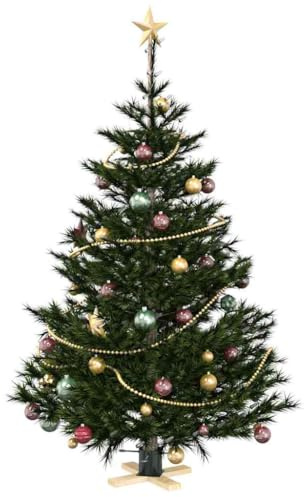vidaXL Pied de Sapin de Noël 1.73 Vert 50 x 50 x 16 cm Pin Massif, Support de Sapin en Bois Massif, Moderne et Robuste, déco Festive, Base Polyvalente pour intérieur et extérieur