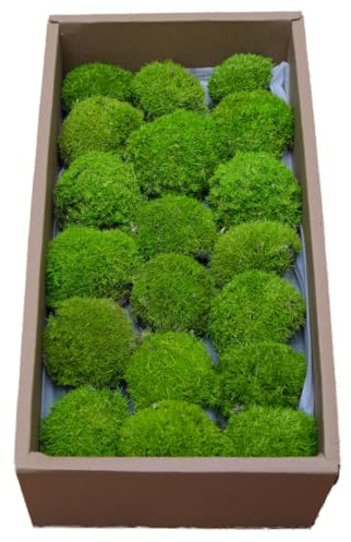 ZenceWell Real Preserved Moss for DIY Crafts – Evergreen & No Water Needed – 0.14m² Light Green Natural Dried Moss for Terrariums, Wall Art, Floral Arrangements & Home Décor (Lime)