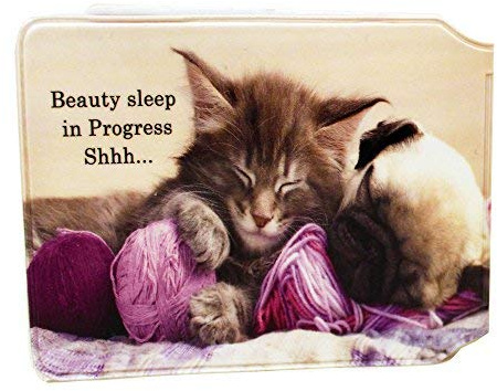 Cat and Dog Credit Card Bus Pass Wallet Slimline Travel Rail Ticket Holder Cover for Oyster Business Zip ID Card - Bifold - Party Bag Gift School Leaver Uni (1x Wallet)