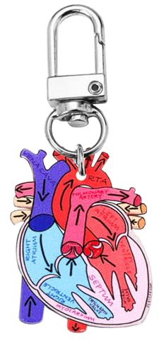 JTQYFI Diagramme du cœur humain Porte-clés Porte-clés en forme de cœur détaillé Accessoire pour adultes et enfants Apprendre l'anatomie