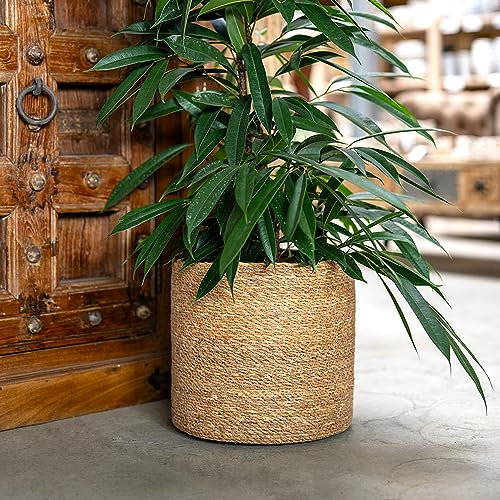 DARO DEKO Seegras Korb rund Natur Ø 35 x 33 mit Einsatz Blumentopf geflochten Aufbewahrungskorb Über-Topf Blumenkorb