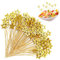 SHENSAIGO 60 Stück Stern Cocktailspieße, 12cm Fingerfood Spieße Weihnachten, Gold Sterne Holzspieße, Cocktail Zubehör Zahnstocher Holz, Partyspieße Cocktail Deko für Bar Party Obst Grillgut Cupcake