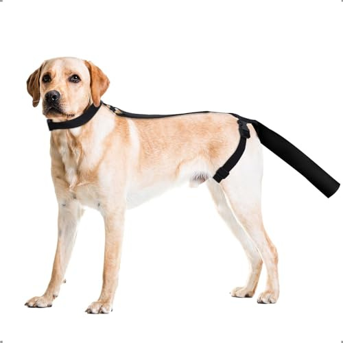 OHCOZZY Protezione della Coda del Cane, Fasciatura per la Coda del Cane per Le estremità della Coda, Imbracatura per Cani per Un Comodo Recupero da ferite,M