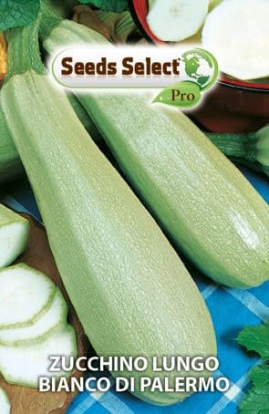 ZUCCHINO LUNGO BIANCO DI PALERMO SEMI IN BUSTINA