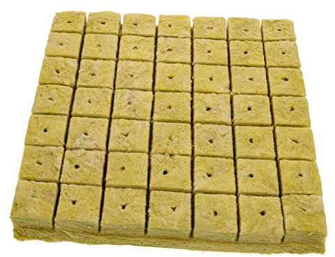 Kisangel 49 Pièces Cubes De Culture Hydroponique Substrat Minéral Blocs sans Sol pour Semis Jardinage Accessoires Nutriments Plantes