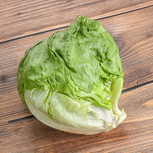 semi di lattuga iceberg, lattuga, decorazione da giardino all'aperto resistenti per il giardino di vecchie varietà 500pcs