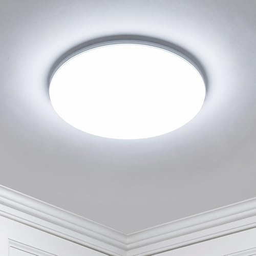 Sweier Bathroom Light, IP54 Waterproof Modern Ceiling Lights, 18W Round LED Ceiling Light Cool White 6000K 2200LM for Living Room, Hallway, Bedroom, Kitchen, Ø23cm