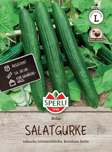 Sperli Salatgurkensamen Bella, F1 80771 - robuste, reinweibliche, kernlose Sorte - Inhalt für 5 Pflanzen - Gemüsesamen, Samen Gemüse, Gemüsepflanzen