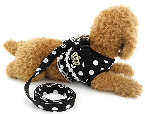 Kisangel Hundegeschirr Satz für Hunde Verstellbares Traktionsgeschirr mit Leine Atmungsaktiv Sicher für Hundetraining Auto