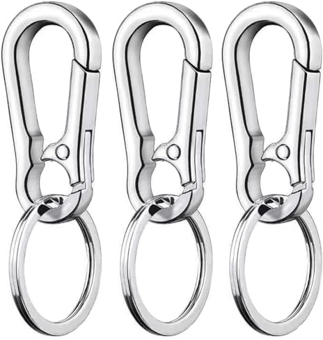 LABUYI 3 Stück Silber Metall Karabiner Schlüsselanhänger, Klein, D-Form, Non-Locking, Modern, für Wandern, Camping, Radfahren, Angeln