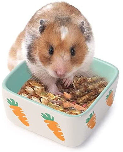 JanYoo Igel zubehör futterschale futternapf Hamster futterspender Keramik Schale futtertrog trinknapf schwer groß Blau