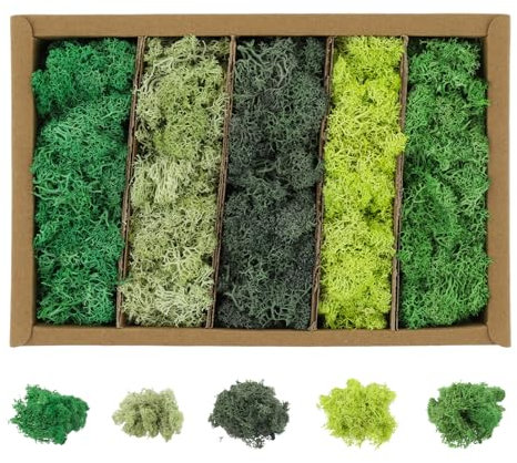 Islandmoos Zum Basteln 200g - Islandmoos in 5 versch,Kunstmoos Farben/Echtes konserviertes haltbares Natur Moos zum Moosbild basteln/Deko und Ostern deko Kunst Moos