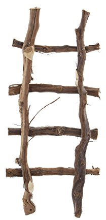 Dekoleiter Rebenholz Braun