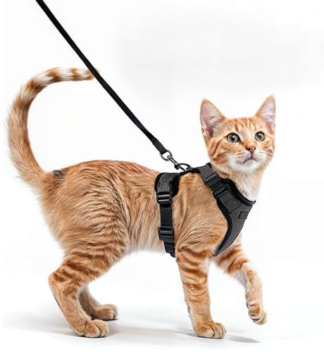 Komfortables Katzengeschirr mit Leine - Atmungsaktives Air Mesh, Geeignet für Halsumfang 21-28 cm, Brustumfang 34-41 cm - Leicht anzulegen und abzunehmen - Perfekt für Spaziergänge mit Ihrer Katze