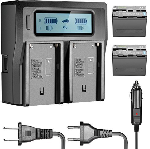 Neewer 6600mAh Li-ION Akku für Sony NP-F970 NP-F970 NP-F960 NP-F975 NP-F570 NP- F750 NP-F770 und LCD Dual Ladegerät, CN160 FW568 F100 F200 FW700 LED Videoleuchte/Monitor