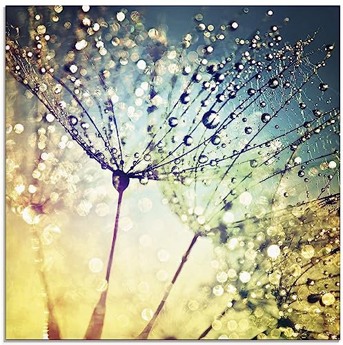 ARTland Wanddeko Glasbilder Wandbild Glas Bild einteilig 40 x 40 cm Quadratisch Natur Zauber Idyll Mikro Makro Pusteblume Blumen Wasser Tropfen Tau S9MI