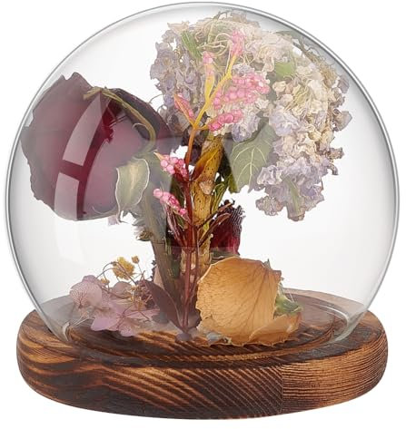 PH PandaHall Dôme de Cloche en Verre Transparent avec Base en Bois, Vitrine Décorative en Verre pour Plantes, Fleurs, Modèles en Pierre, Affichage de Papillons, Décor de Fête à la Maison, 12x11.5cm