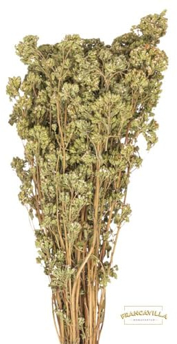 Francavilla Wilder getrockneter Oregano-Strauch, 40g