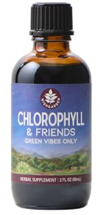 WishGarden Herbs Chlorophyll & Friends - Chlorophyll Liquid Drops with Nettle Leaf, Holy Basil, Moringa Leaf & Peppermint Leaf, Supports Increased Energy, Healthy Immune, & Stress Response, 2oz