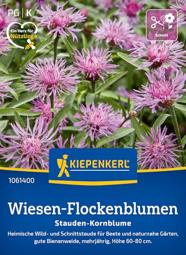Kiepenkerl Wiesen-Flockenblumensamen Stauden-Kornblume 1061400 - heimische Wild- und Schnittstaude für Beete und Gärten - Pflanzensamen, Blumenmischung, Saatgut