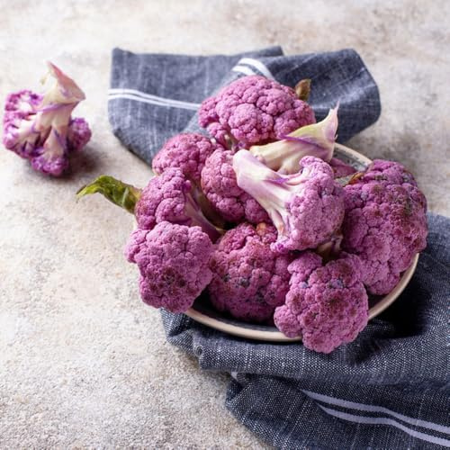 semi di cavolfiore biologici - giardino interno vecchie varietà 35pcs