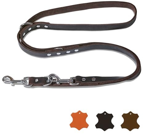 FREUDENTIER Hundeleine Leder 2m - Lederleine verstellbar - Führleine aus zertifiziertem Fettleder für kleine, mittelgroße & große Hunde - Alsterufer Kollektion (Chocolate, 20mm breit)