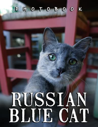 A Photo Book Of Russian Blue Cat: Compelling Photos Collection Of Russian Blue Cat As A Great Gift For Adults, Teens, Kids To Relax And Relieve Stress