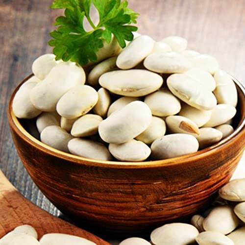 Haloppe 20 Stück weiße Bohnen-Gemüsesamen zum Pflanzen im Hausgarten, weiße Bohnensamen, Geschenk, Pflanzenwachstum, Botschaft, Malerei, Wort