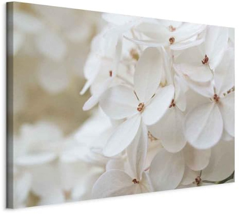 murando - Tableau Acoustique Nature 90x60 cm 1 Partie - Décoration Murale Anti-Bruit Isolation Phonique Bureau Chambre Panneau Insonorisant Impression sur Toile - Fleur Nature b-B-0510-b-a