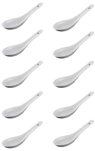 10 Pezzi Cucchiai da Zuppa di Porcellana, Cucchiaino per uova in Porcellana, Cucchiai da tavola, Adatto a Casa, Cucina, Ristorante, tè, Cucchiaio da Dessert (Bianco)