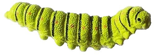 Geocaching Versteck Kleiner Wurm mit Nano Micro Geocache Hide Insect