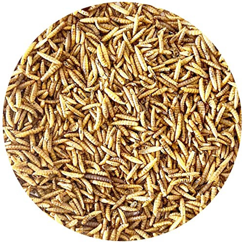 Vogelfood 5kg Soldatenfliegenlarven wie Mehlwürmer Vogelfutter, Fischfutter