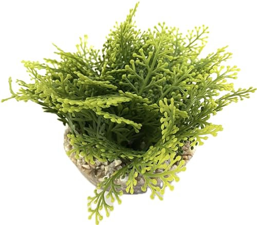 Tyrol - Plante d'Aquarium Artificielle XL 20CM - Décoration pour Aquarium - Plante d'intérieur en Plastique sur Socle - Mousse Tapis Vert - Ancrage Facile au Fond de l'Aquarium - Fabriquée en France