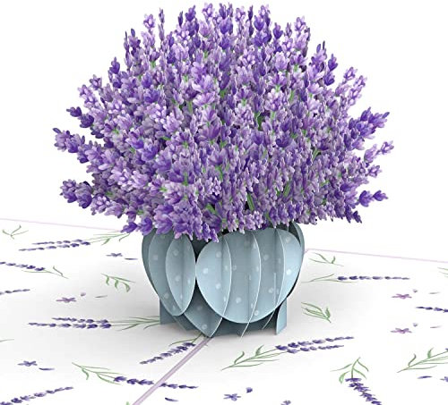 papercrush® Pop-Up Karte Lavendel - 3D Blumenkarte für Frau, Mama, Tante & Freundin zum Geburtstag, Genesungskarte für Gute Besserungswünsche, Glückwunschkarte zum Ruhestand für Kollegin, Dankeskarte