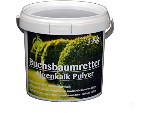 Stauden Gänge Algenkalk Pulver 1kg - im Eimer - Aus 100% reinen Meeresalgen - Regeneration des Buchsbaum beim Buchsbaumzünsler & stärkt die Widerstandskraft - Buchsbaumdünger und Spritzmittel