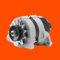 RIDEX 4G0484 Lichtmaschine Generator Alternator 36A 12V mit Riemenscheibe